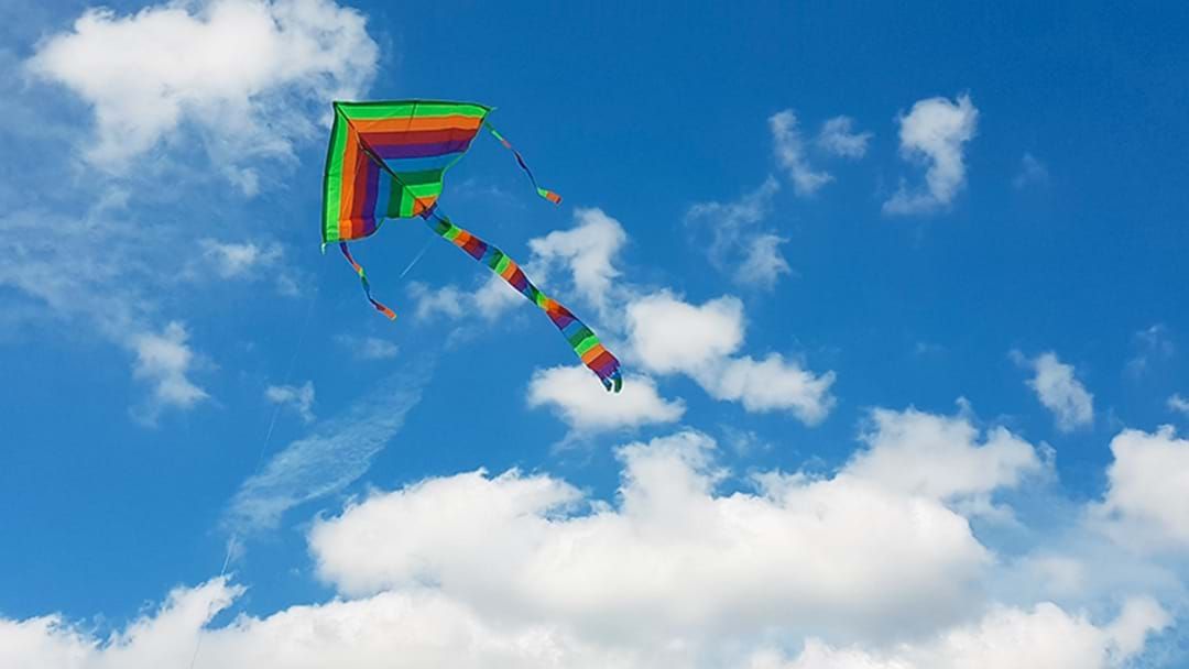 Article heading image for Best Kite Flying Spots On The Central Coast