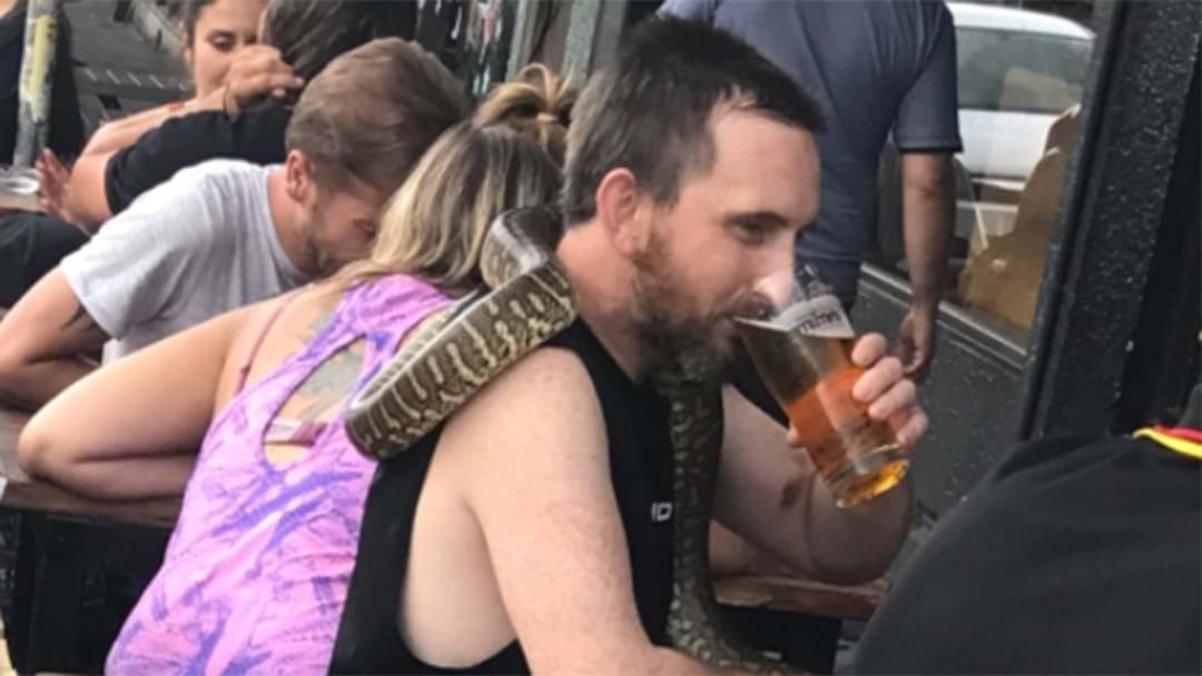 Article heading image for Bloke On Brunswick St Takes His Python For Froth