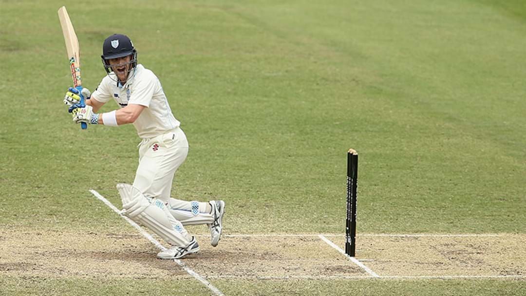 Article heading image for Peter Nevill Has Stacked On The Sheffield Shield Runs Again