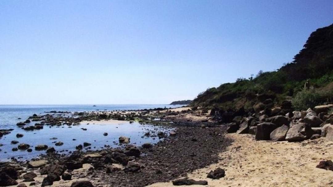 Article heading image for Brochure Condemning Nudist Beach Distributed Across Mornington Peninsula