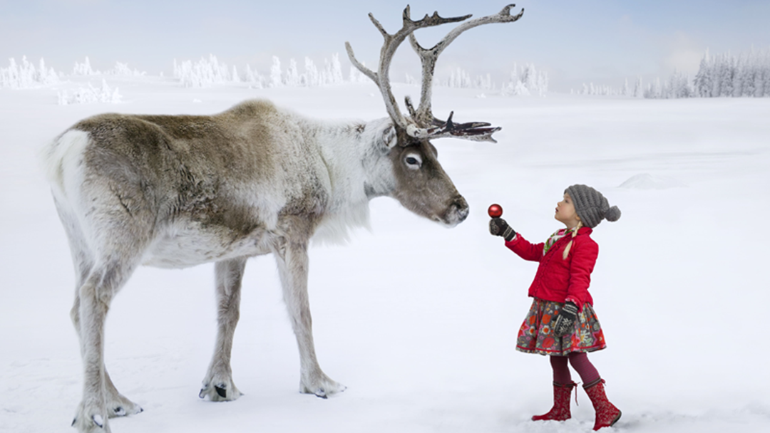 Article heading image for 5 of the best ways to entertain your little ones this December