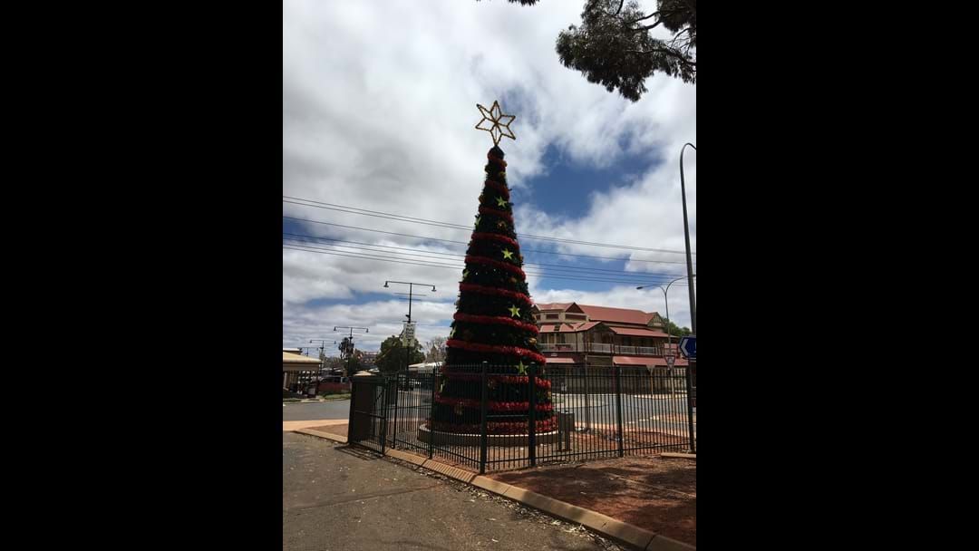 Article heading image for Christmas Tree to Light Up CBD