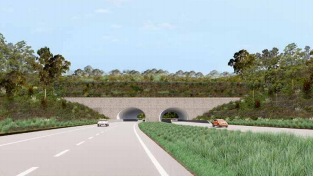 Article heading image for Mayor and Councillor Want Tunnels for Bypass
