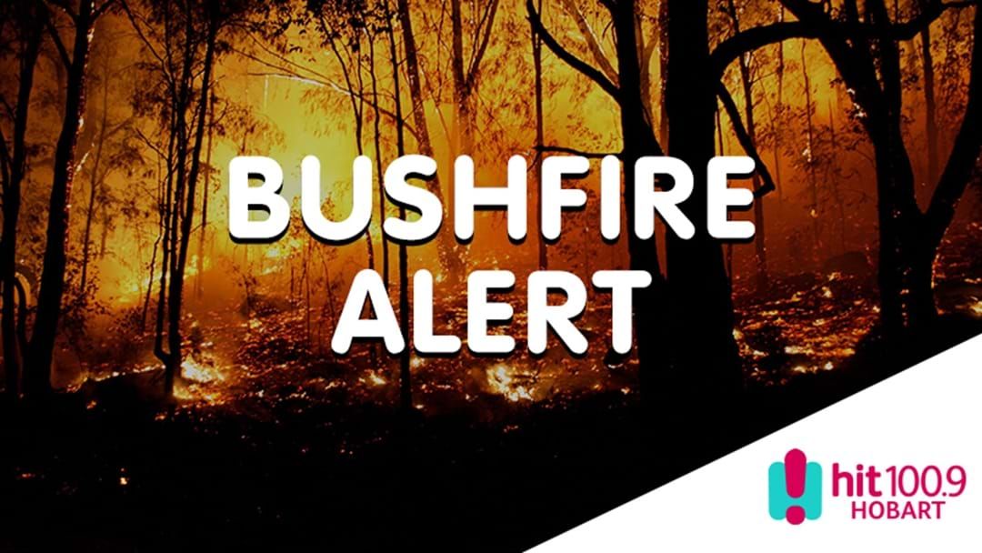 Article heading image for Tas Bushfire Updates on the current situations across the state