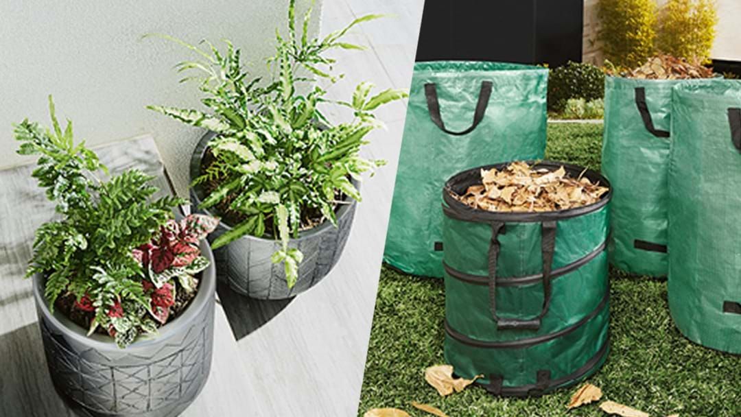 Article heading image for Build Your Dream Garden With Aldi’s New Special Buys!