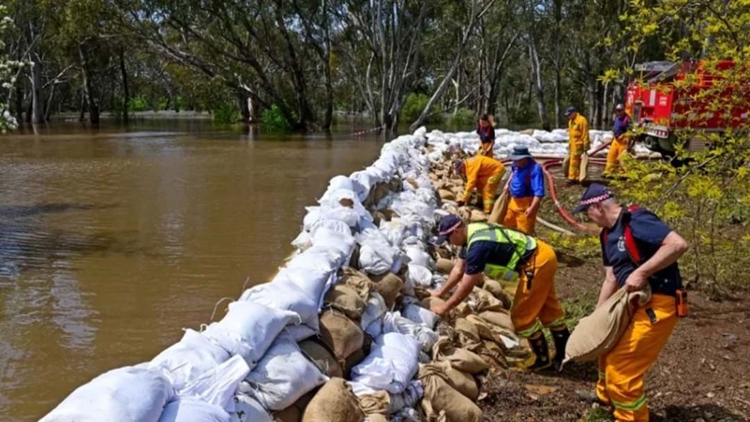 Article heading image for Victorian Floods Worsen As Residents Rally To Build The "Great Wall Of Echuca"
