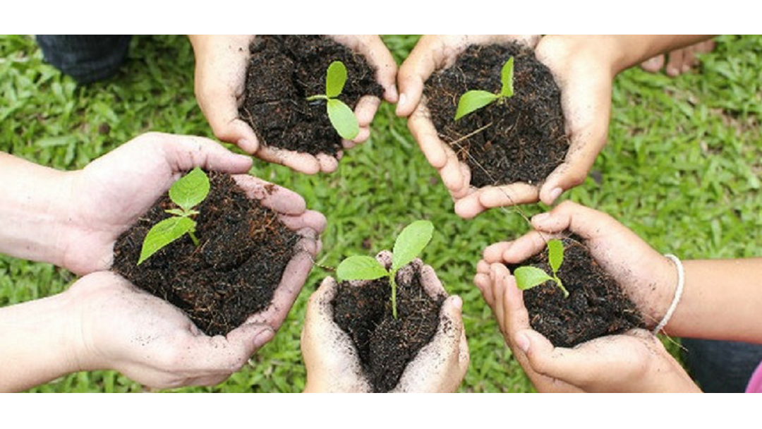 Article heading image for Get Your Hands Dirty This National Tree Planting Day