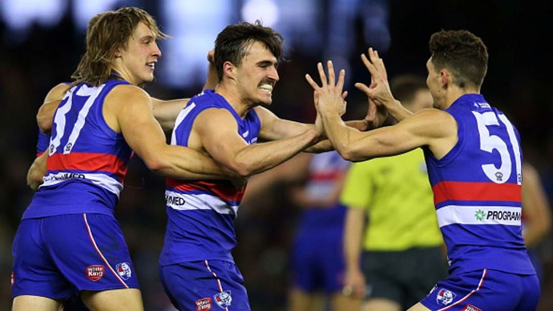 Article heading image for A Couple Of Bulldogs Went Big In The VFL Tonight