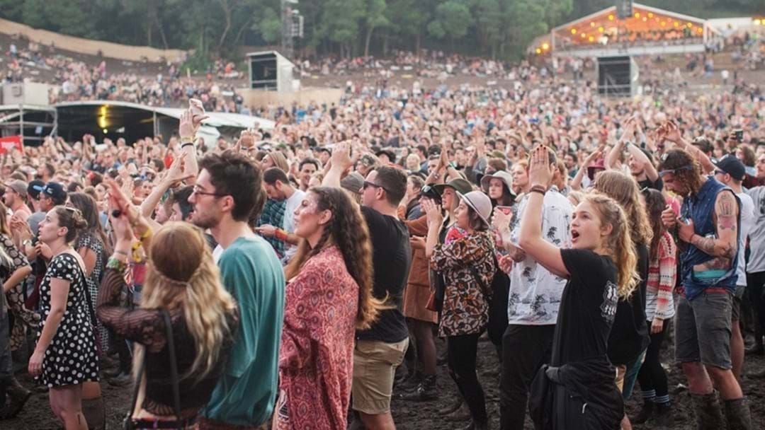 Article heading image for Record Amount Of Drugs Seized At Splendour In The Grass This Year