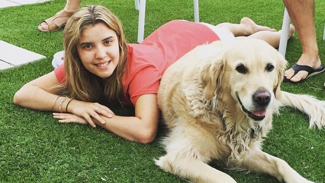 Article heading image for Rachael Leahcar Denied Ride In Adelaide Uber For Having A Guide Dog