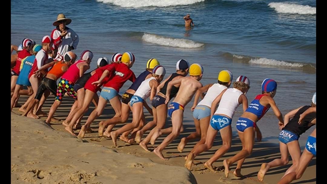 Article heading image for Nippers start Sunday..What's it all about?