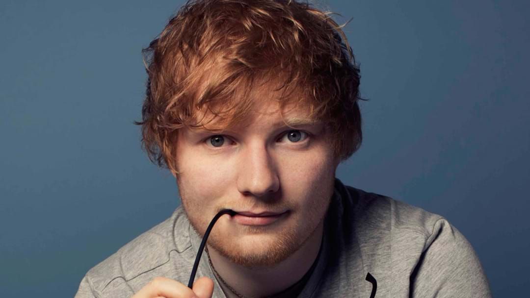 Article heading image for Ed Sheeran Is Cookedly Building A Burial Chamber On His Property