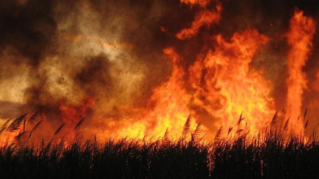 Article heading image for Essential Ways To Prepare For Bushfire Season