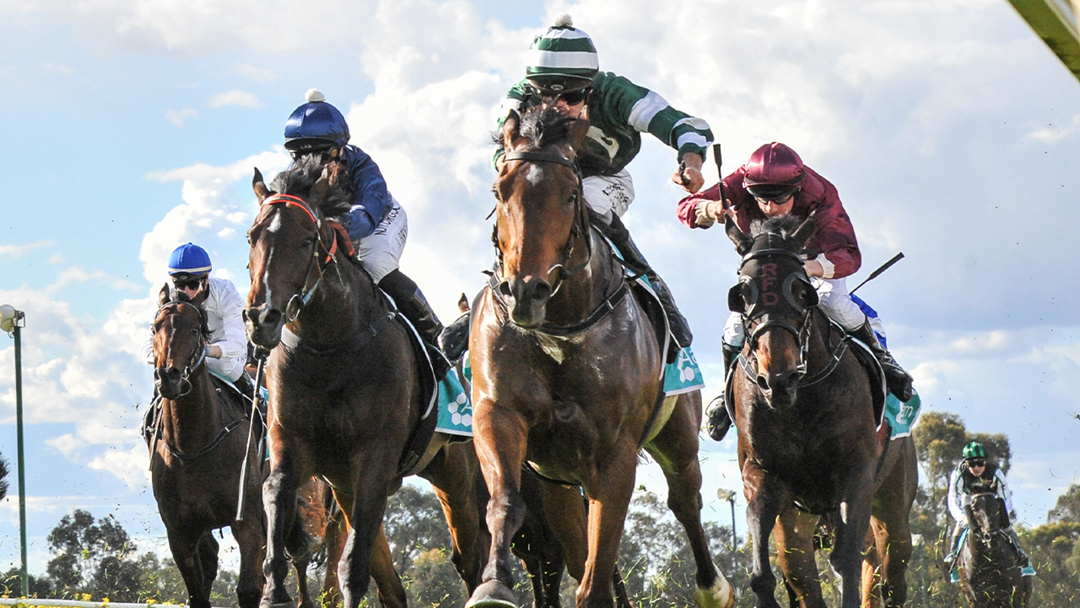 Article heading image for LISTEN | Expert Makes Derby Day And Melbourne Cup Tips! 
