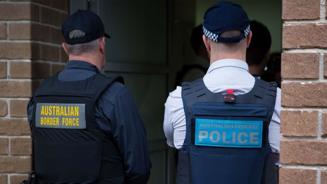 Article heading image for More Than Four Tonnes Of Drugs And Precursors Seized In Massive AFP And Border Force Operation