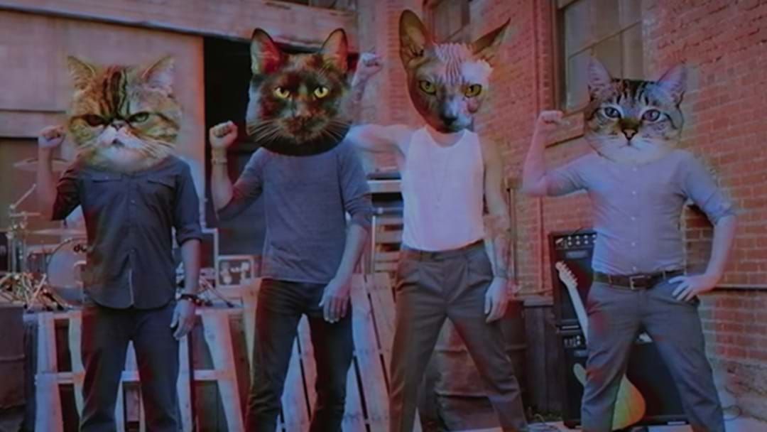 Article heading image for Incubus Get Catty In Bizarre New Film Clip
