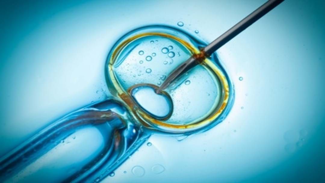 Article heading image for IVF Treatments Resume After Victorian Government Backflip