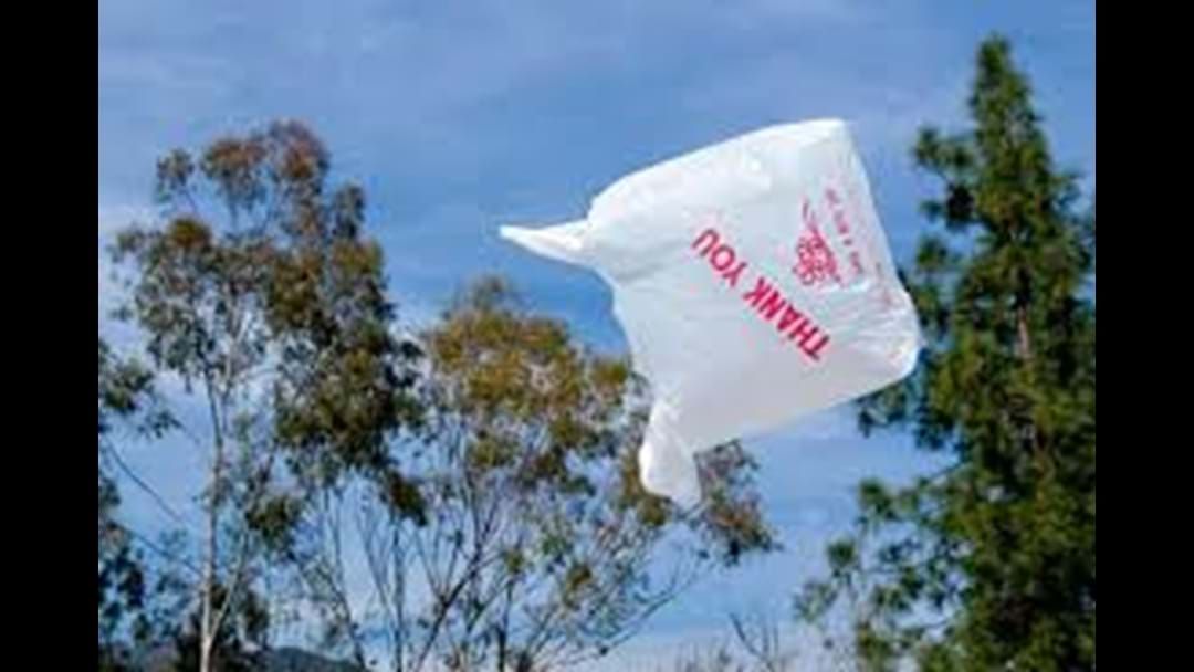Article heading image for Could plastic bags be blown away?