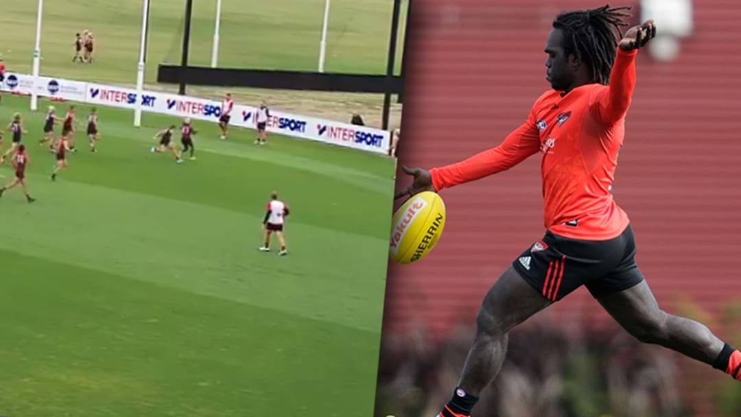 Article heading image for McDonald-Tipungwuti Slots A Ripper At Training This Morning