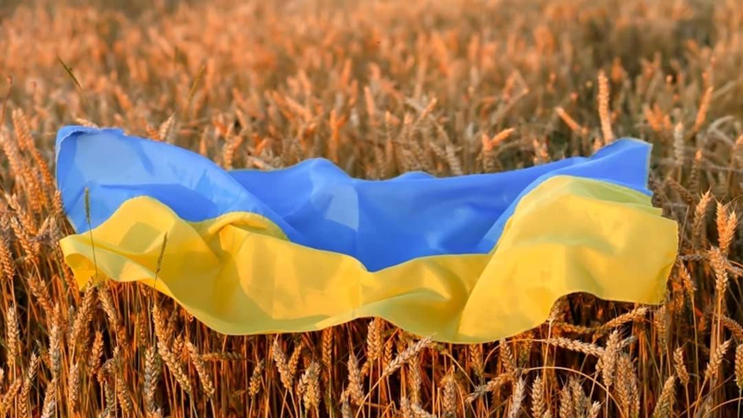 Article heading image for Australia Pledges Export And Agricultural Support To Ukraine 