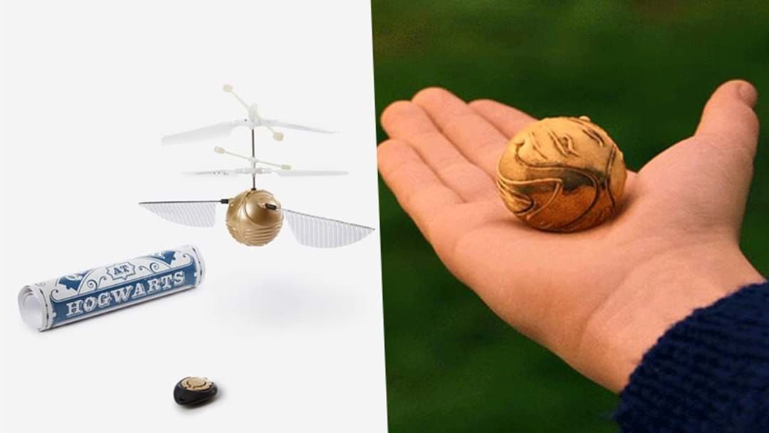 Article heading image for A ‘Golden Snitch' Drone Exists & You Can Catch It Like Harry Potter Did