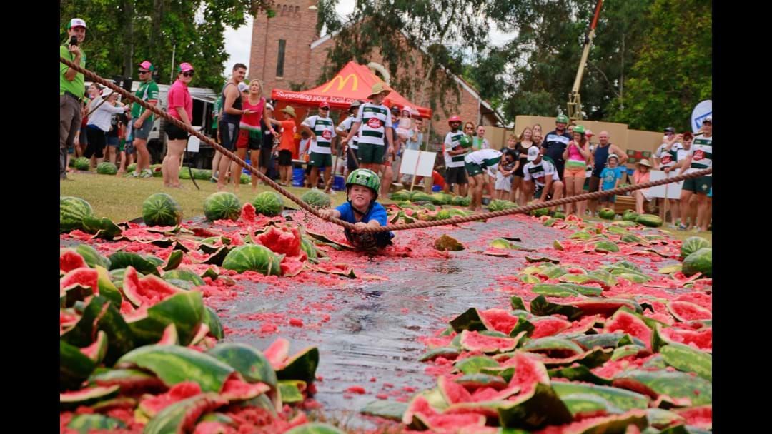 Article heading image for Chinchilla Melon Festival