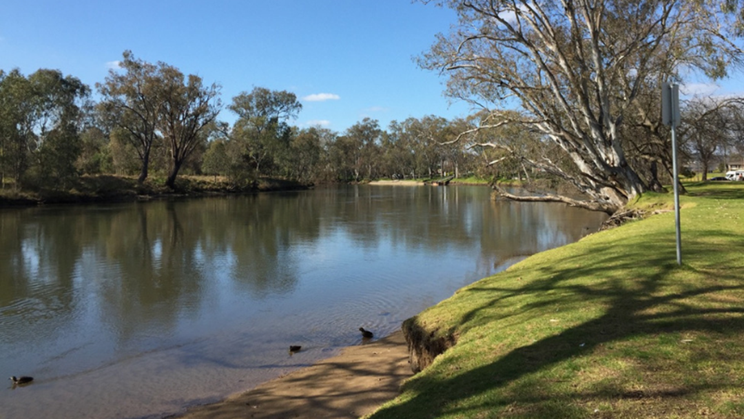 Article heading image for Albury Police Search For Missing 21 Year Old Murray River Swimmer