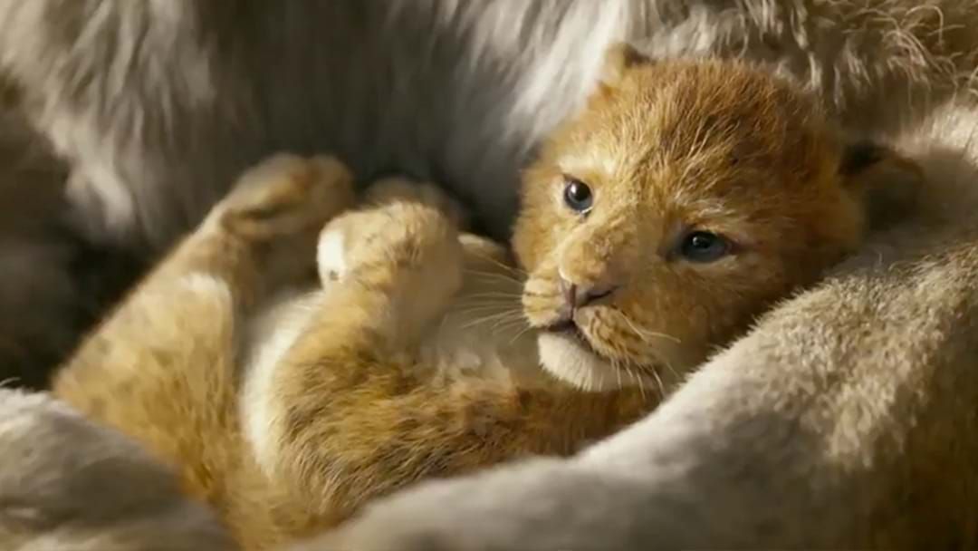 Article heading image for The First Trailer For The Remake Of 'The Lion King' Has Dropped