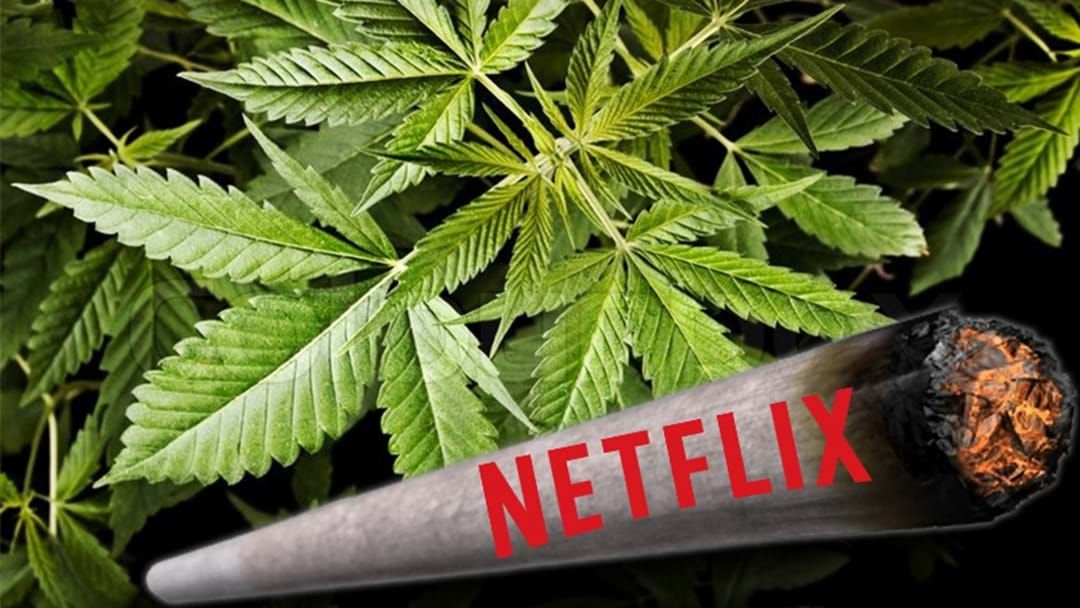 Article heading image for Netflix Has Released Its Own Strains Of Pot To Be Enjoyed With Their Programs