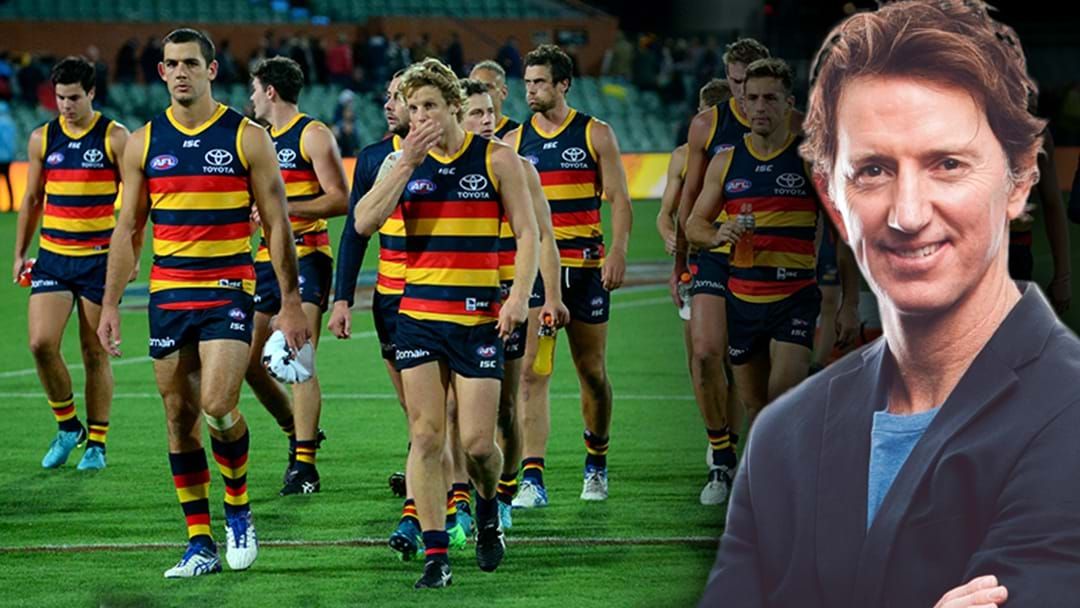Article heading image for Louie: AFL Needs To Look Into What's Really Going On At Adelaide