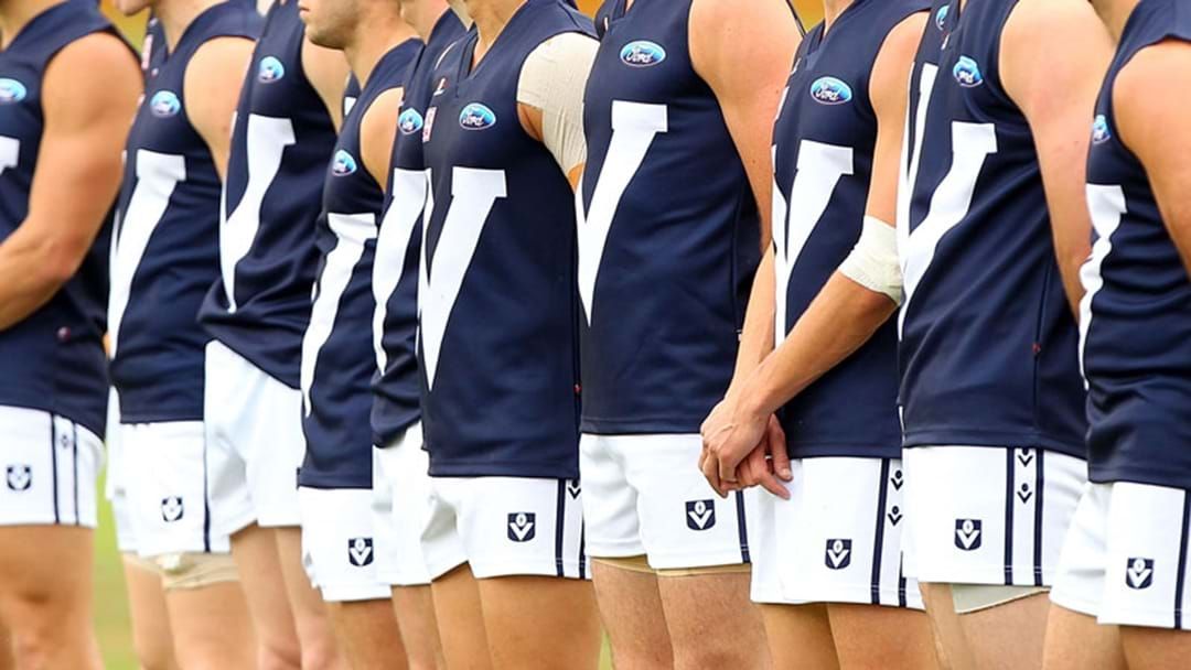 Article heading image for VFL State Team Named 