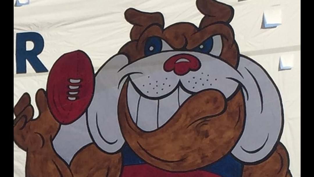 Article heading image for The Bulldogs Banner Delivers Again