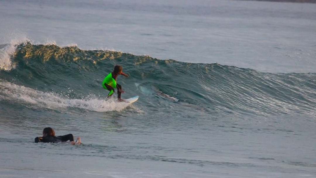 Article heading image for NSW Bloke Takes A Photo Of His Son Surfing Over A Great White Shark
