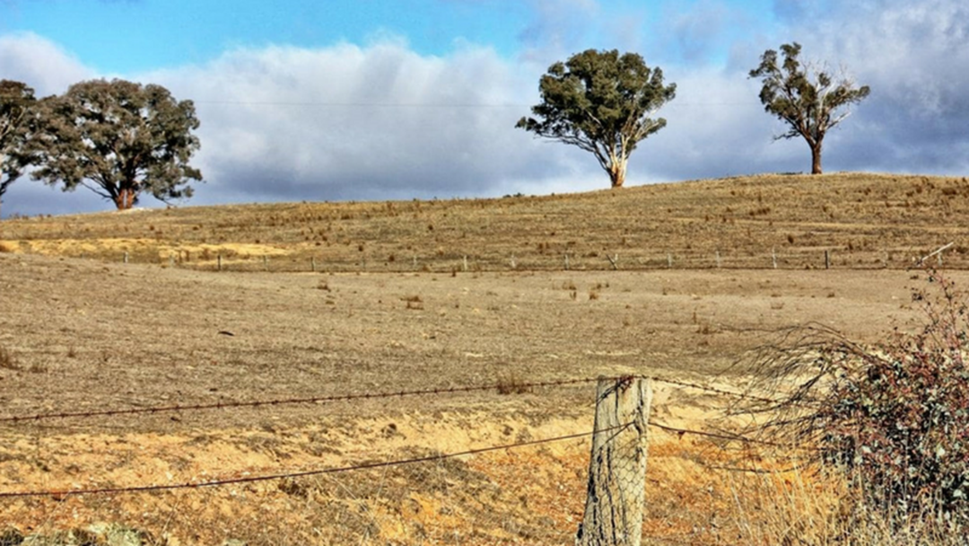 Article heading image for $500 Million Spent To Support Farmers Through Drought