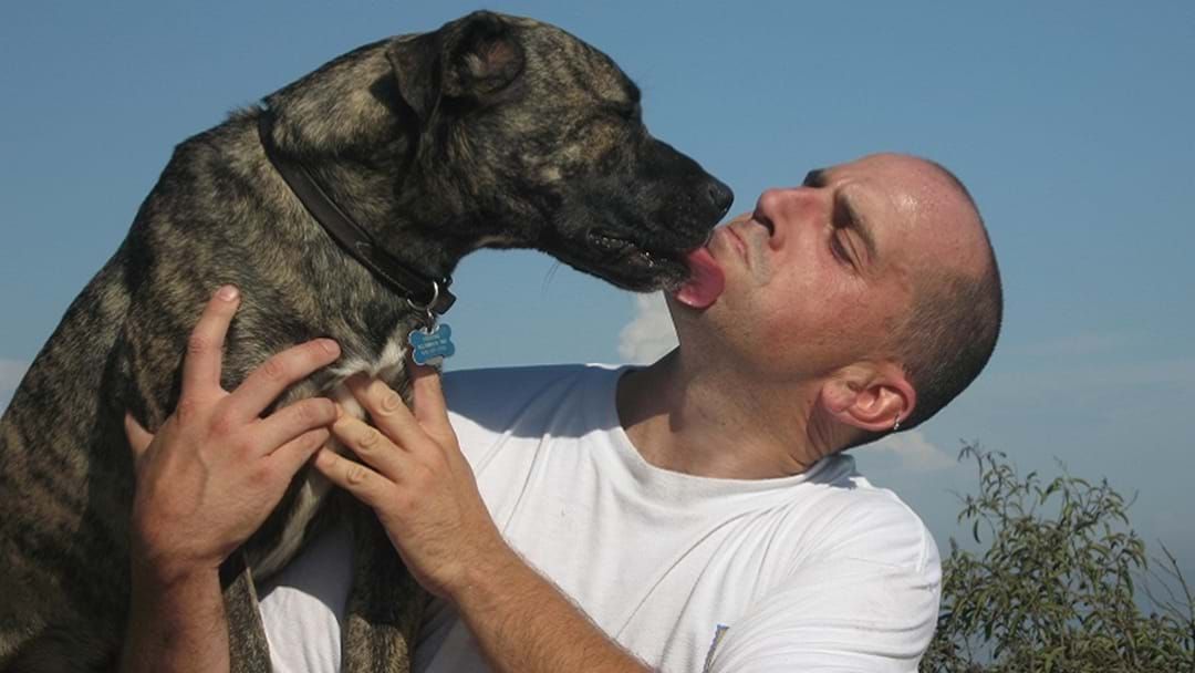 Article heading image for Is It Ever Ok To Kiss Your Dog On The Mouth?