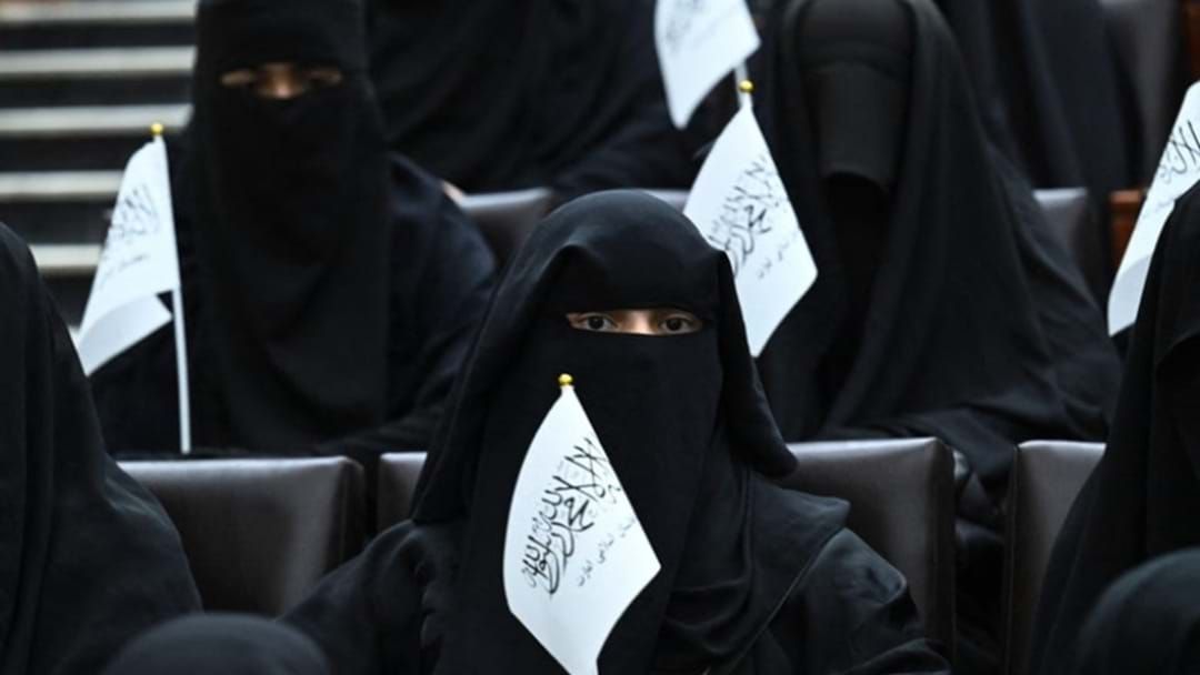 Article heading image for Taliban Enforce Gender-Segregation In Afghan Universities 