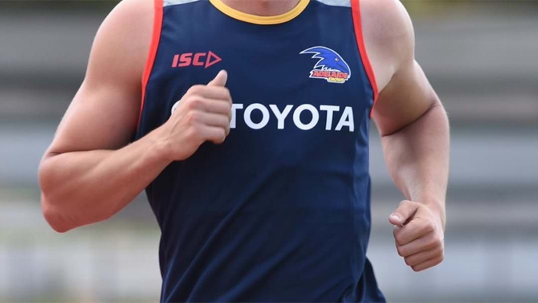 Article heading image for Adelaide Rookie Involved In A Car Accident