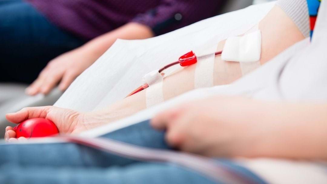 Article heading image for Australia Is Facing A Blood Shortage!