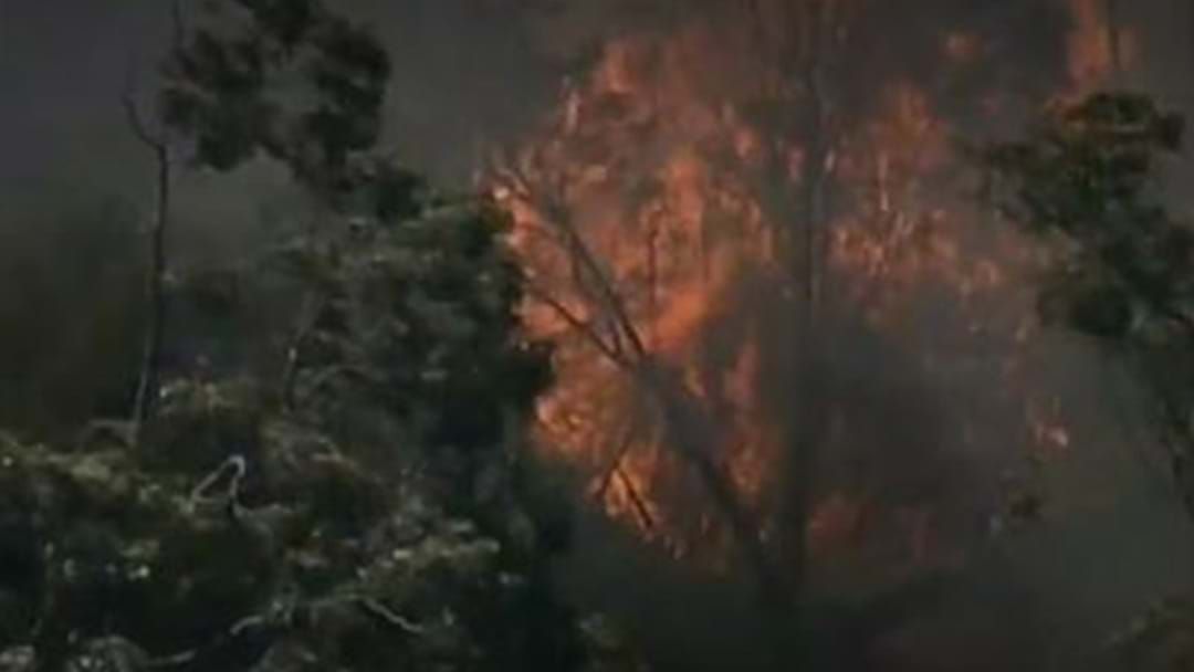 Article heading image for More Crews Called As Macquarie Park Bushfire Spreads