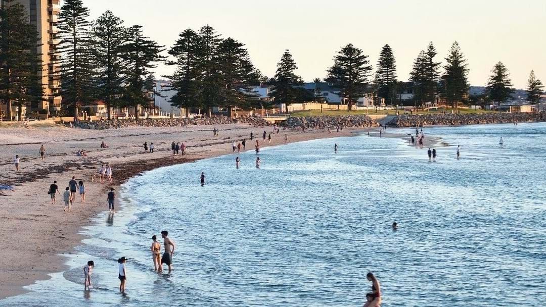 Article heading image for Third Shark Spotted Within Days At South Australian Beach