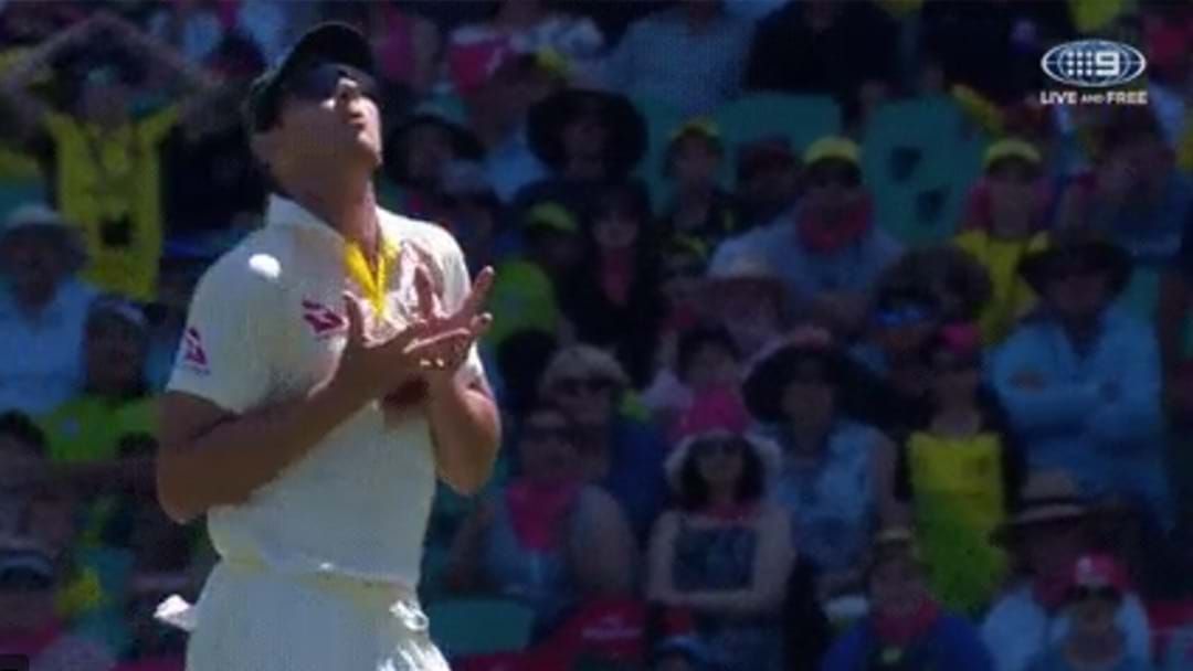 Article heading image for Fans React To Josh Hazlewood Putting Down The Easiest Catch You’ll Ever See