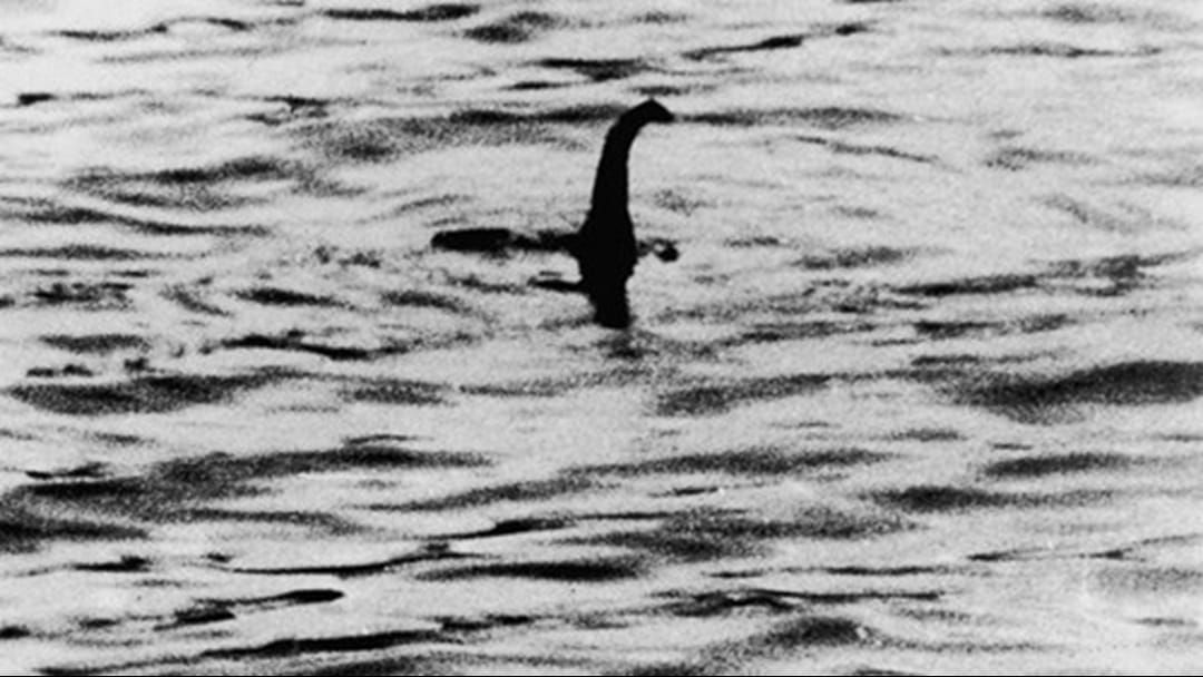 Article heading image for The Loch Ness Monster Not Spotted In 8 Months