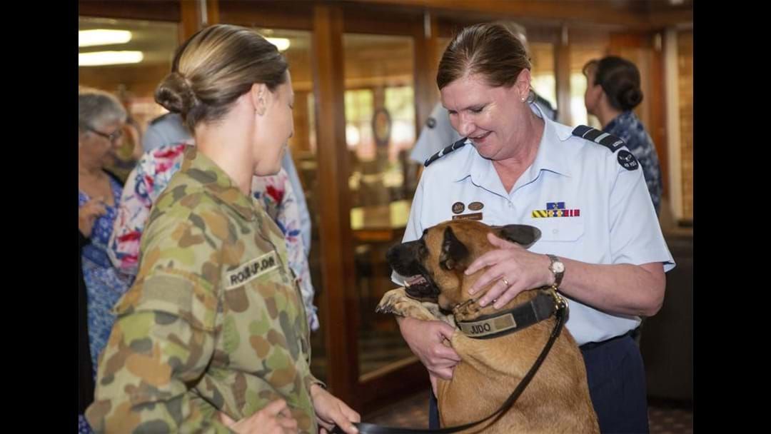 Article heading image for Former Mt Gambier Woman Named Head Of RAAF's new Space Division