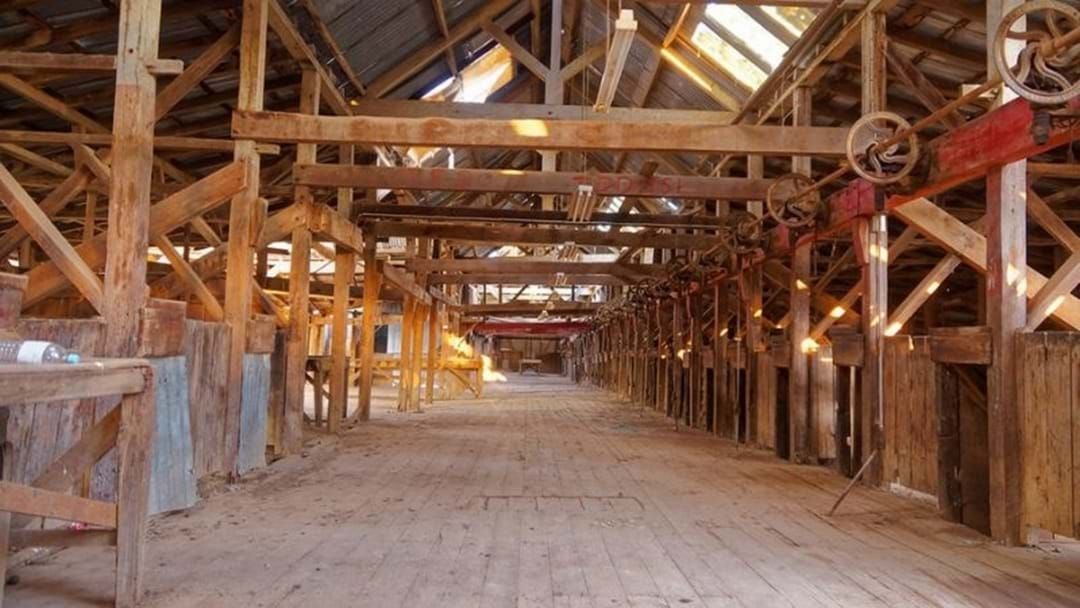 Article heading image for Here's How You Could Save The Toganmain Woolshed!