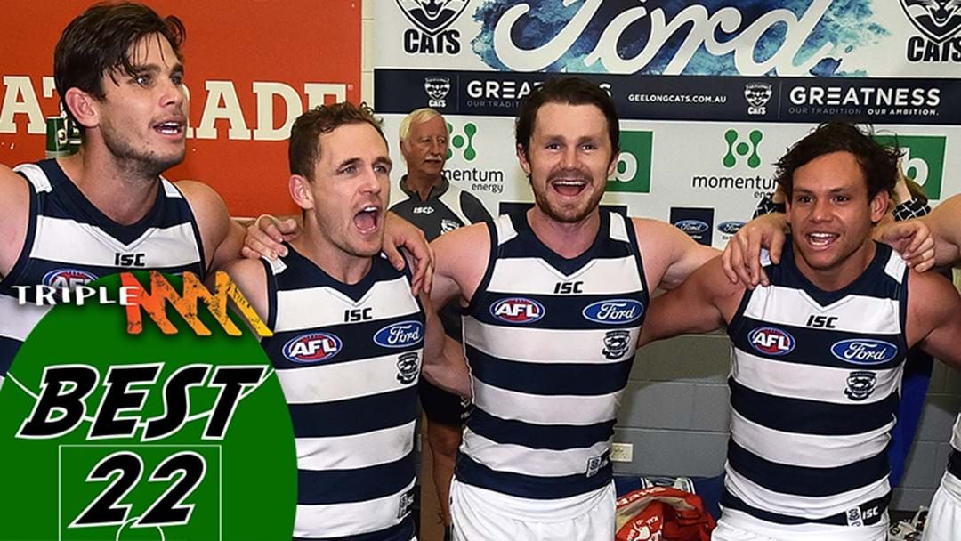 Article heading image for Cats Best 22 For 2017