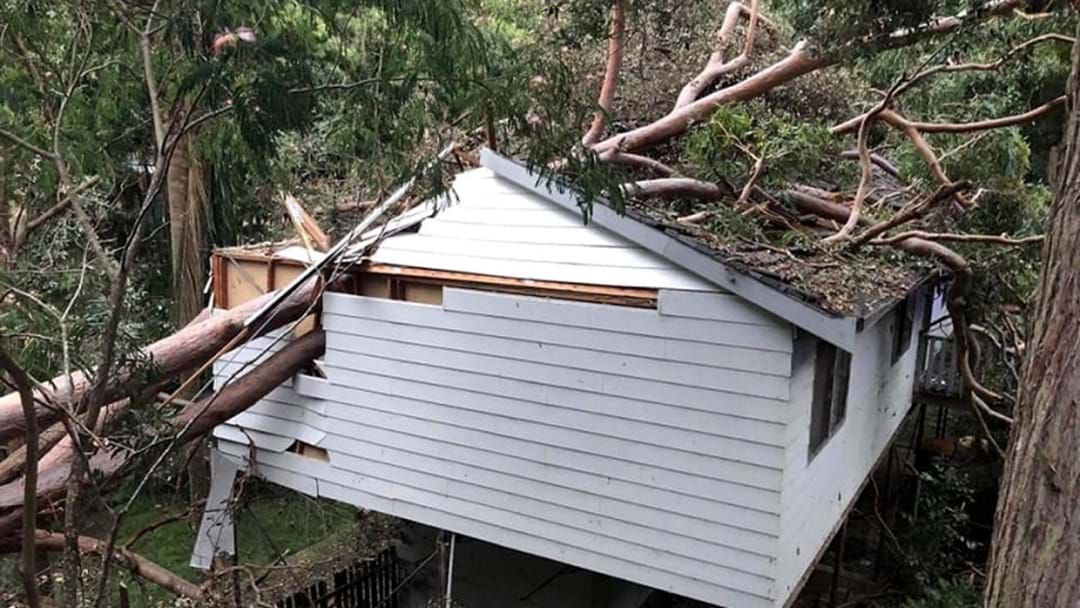 Article heading image for A Tree Fell Through A House In North Gosford Last Night