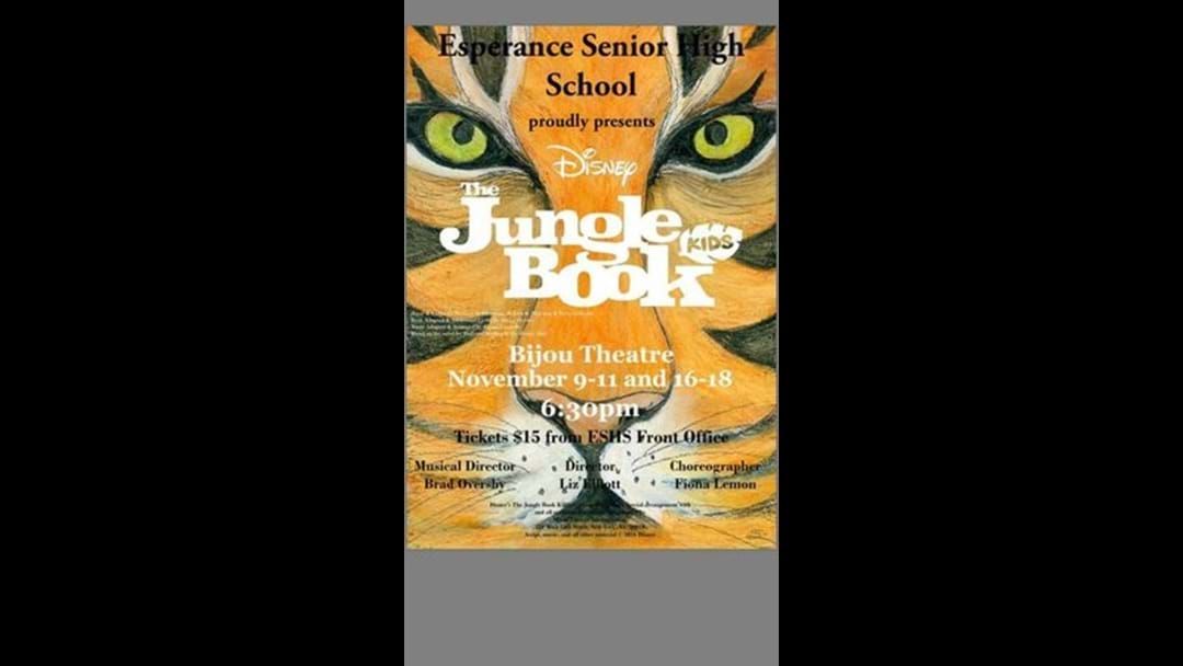 Article heading image for Jungle Book Performance