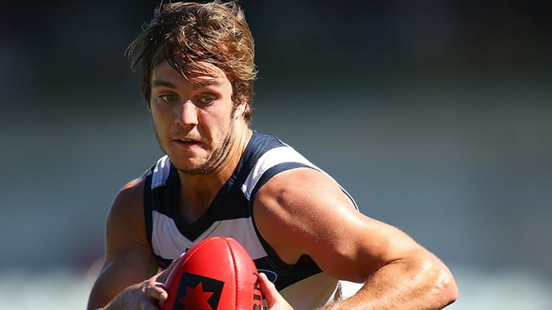 Article heading image for Cats Place Gregson Long-Term Injury List