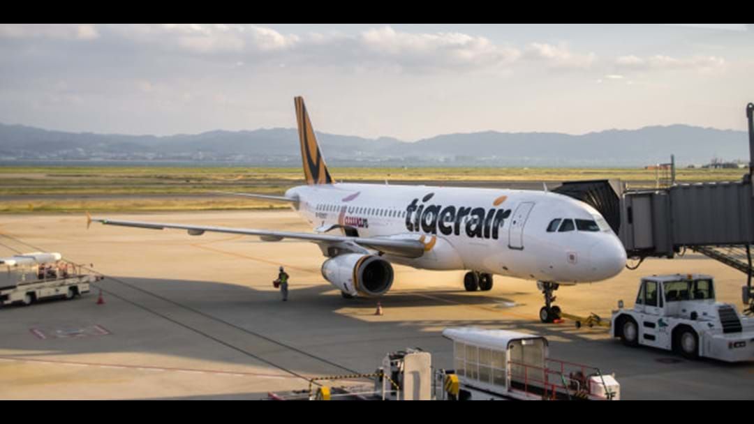 Article heading image for Tigerair Frantically Negotiating With Indonesian Government 
