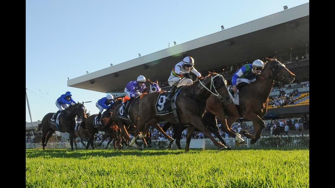 Article heading image for Spring Carnival Expanded With $7.5 'The Golden Eagle' Race From 2019